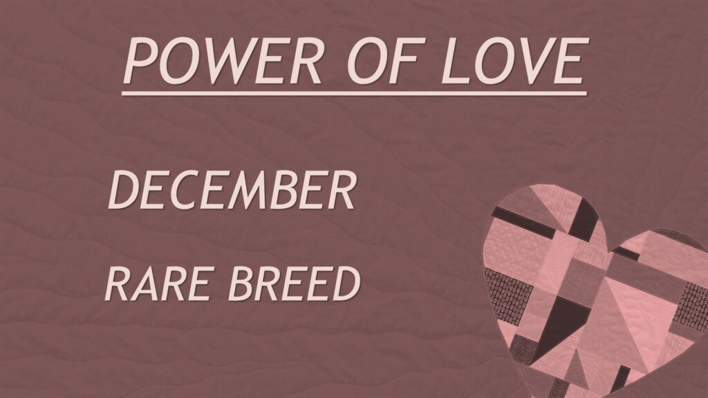 Power of Love Dec 2024