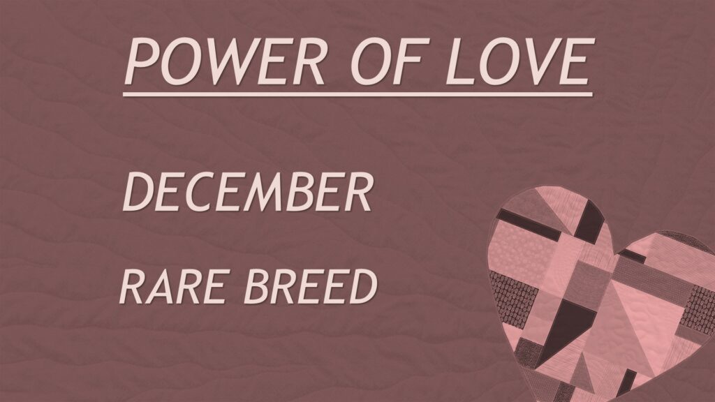 Power of Love 12-25